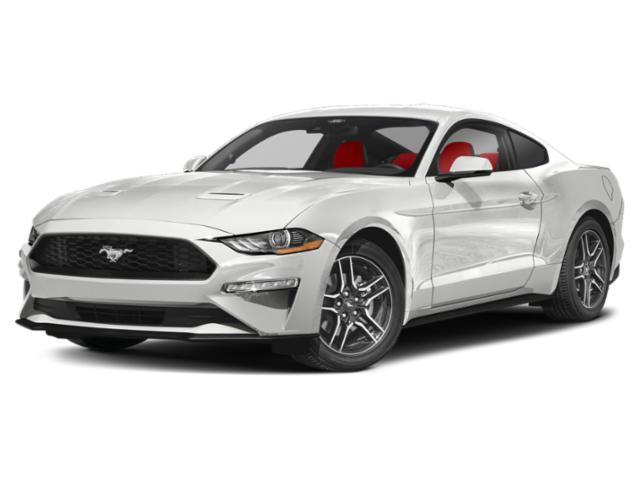 2022 Ford Mustang EcoBoost 2022 Ford Mustang EcoBoost
