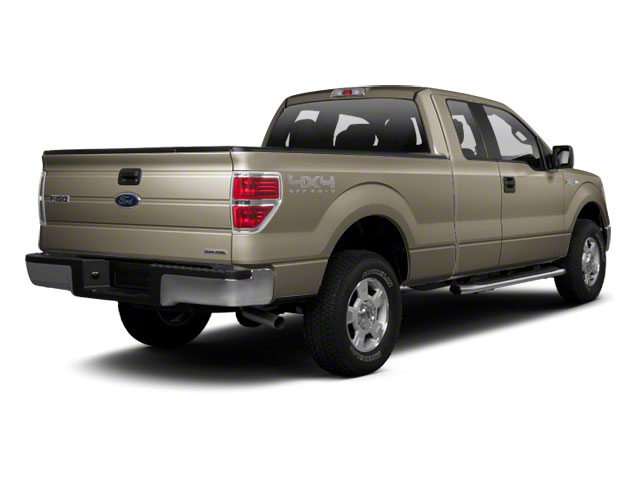 2010 Ford F-150 XLT 2010 Ford F-150 XLT