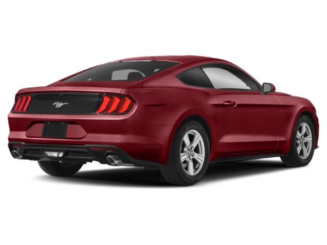 2019 Ford Mustang EcoBoost 2019 Ford Mustang EcoBoost