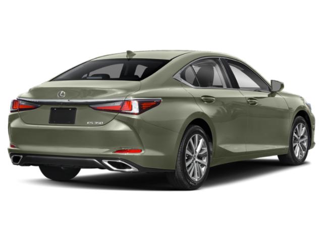 2019 Lexus ES 350 Ultra Luxury 2019 Lexus ES 350 Ultra Luxury