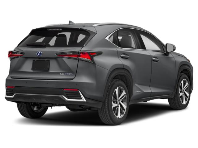 2019 Lexus NX 300h 2019 Lexus NX 300h