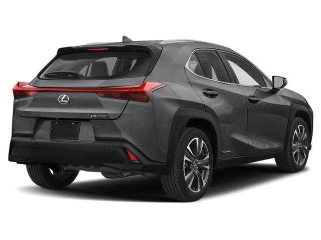2019 Lexus UX 250h UX 250h