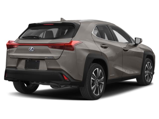 2019 Lexus UX 250h UX 250h