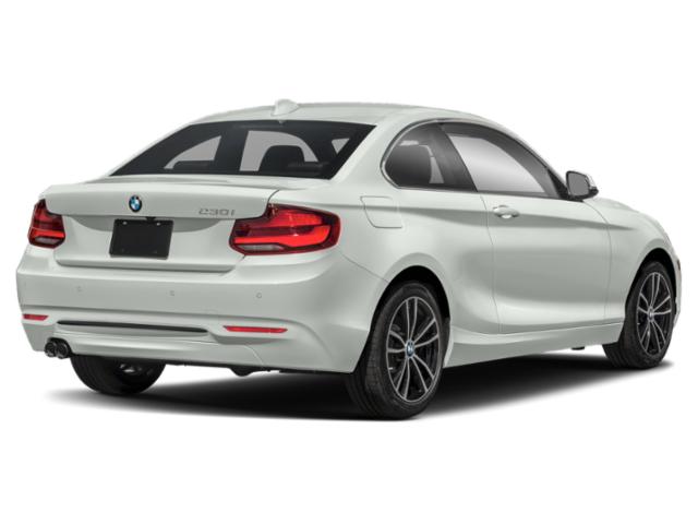 2020 BMW 230i xDrive 2020 BMW 230i xDrive