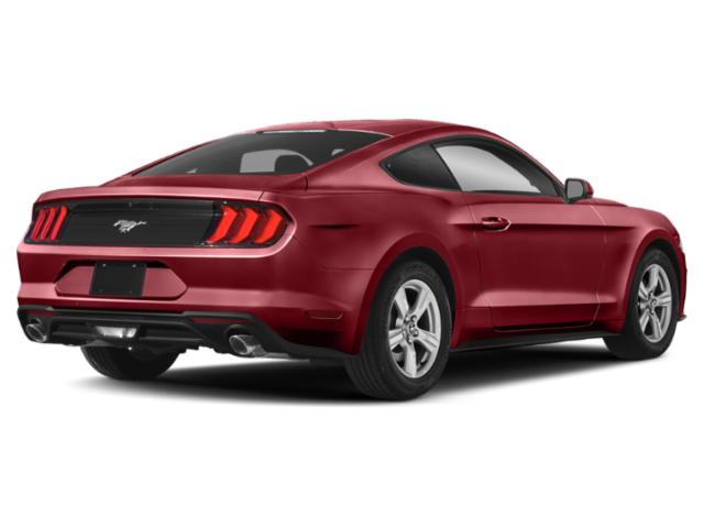 2020 Ford Mustang EcoBoost Fastback 2020 Ford Mustang EcoBoost Fastback