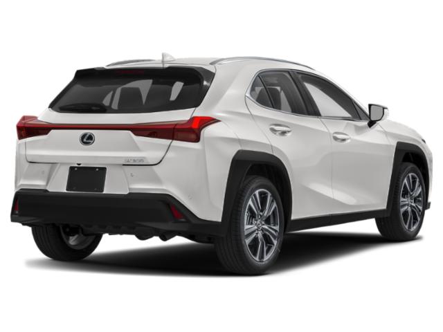 2020 Lexus UX 200 UX 200