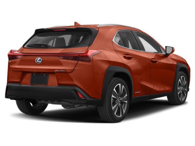 2020 Lexus UX 250h 250h