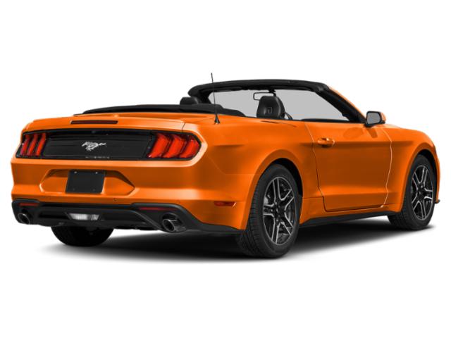 2021 Ford Mustang EcoBoost Premium Convertible 2021 Ford Mustang EcoBoost Premium Convertible