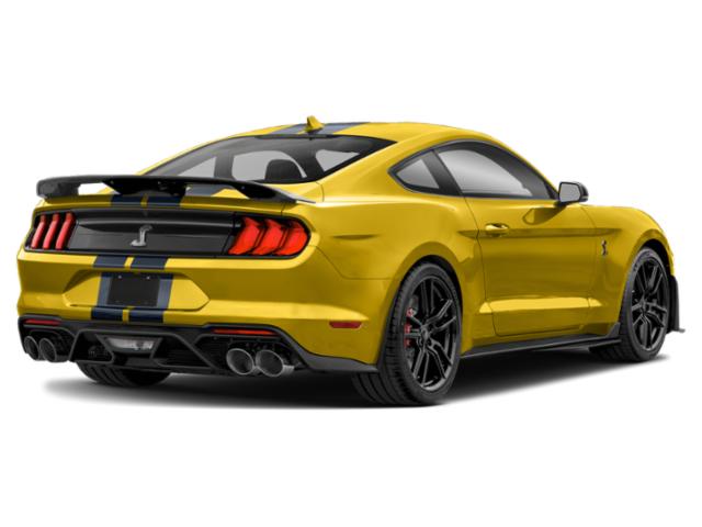 2021 Ford Mustang Shelby GT500 Fastback 2021 Ford Mustang Shelby GT500 Fastback