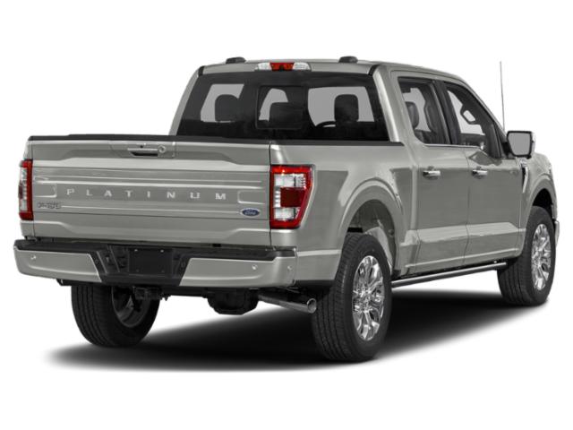 2021 Ford F-150 Platinum 2021 Ford F-150 Platinum