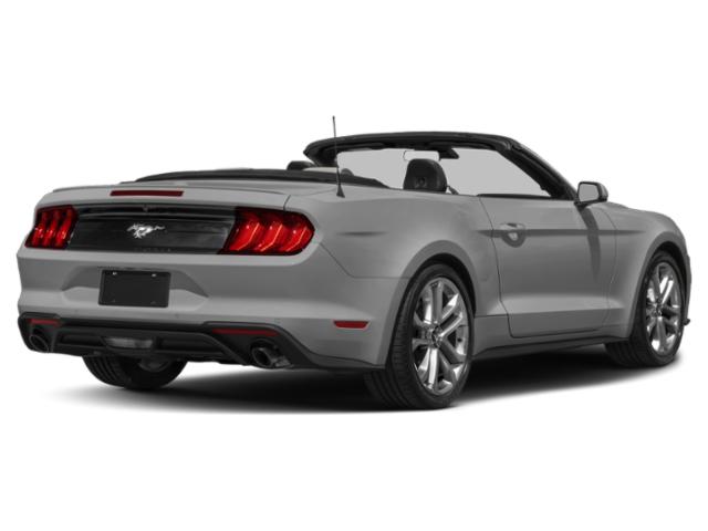 2022 Ford Mustang EcoBoost Premium Convertible 2022 Ford Mustang EcoBoost Premium Convertible