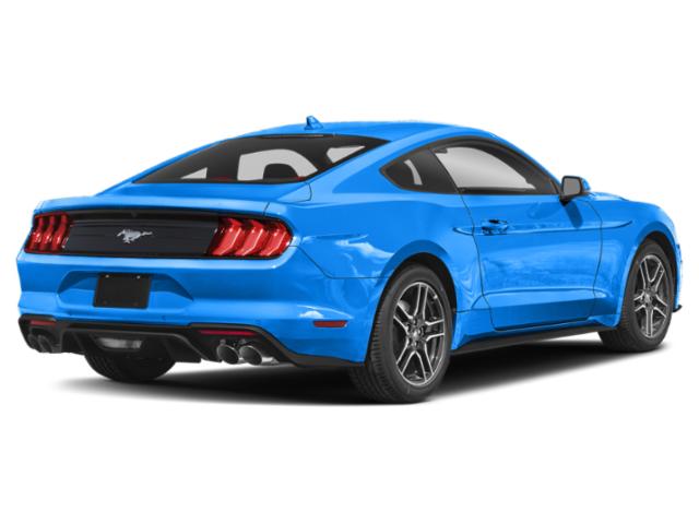 2022 Ford Mustang EcoBoost Premium Fastback 2022 Ford Mustang EcoBoost Premium Fastback