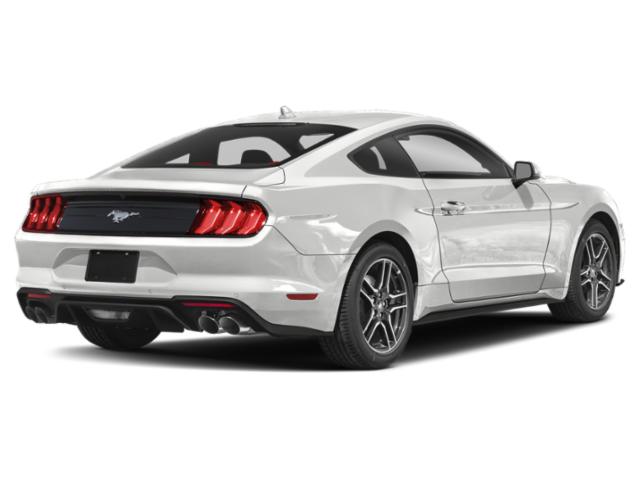 2022 Ford Mustang EcoBoost 2022 Ford Mustang EcoBoost