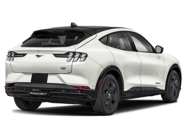 2022 Ford Mustang Mach-E Select 2022 Ford Mustang Mach-E Select