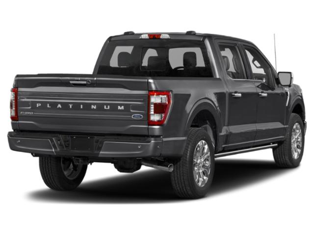 2022 Ford F-150 Platinum 2022 Ford F-150 Platinum