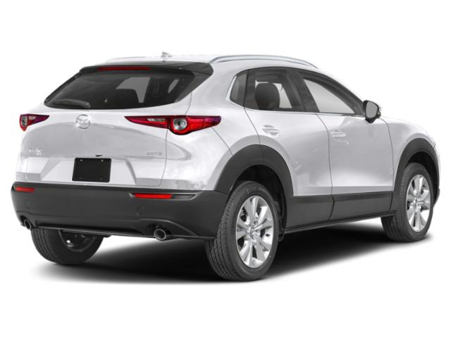 2022 Mazda CX-30 Premium 2022 Mazda CX-30 Premium