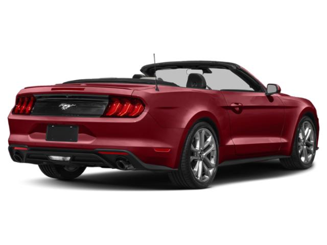 2023 Ford Mustang EcoBoost Premium Convertible 2023 Ford Mustang EcoBoost Premium Convertible