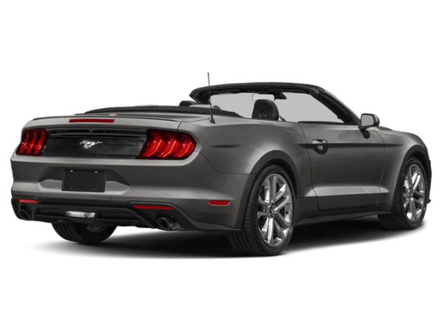 2023 Ford Mustang EcoBoost Premium Convertible 2023 Ford Mustang EcoBoost Premium Convertible