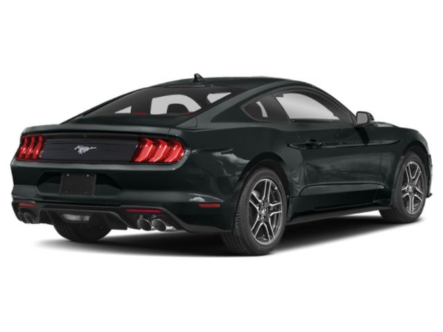 2023 Ford Mustang EcoBoost Fastback