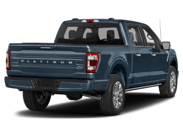 2023 Ford F-150 Platinum 2023 Ford F-150 Platinum