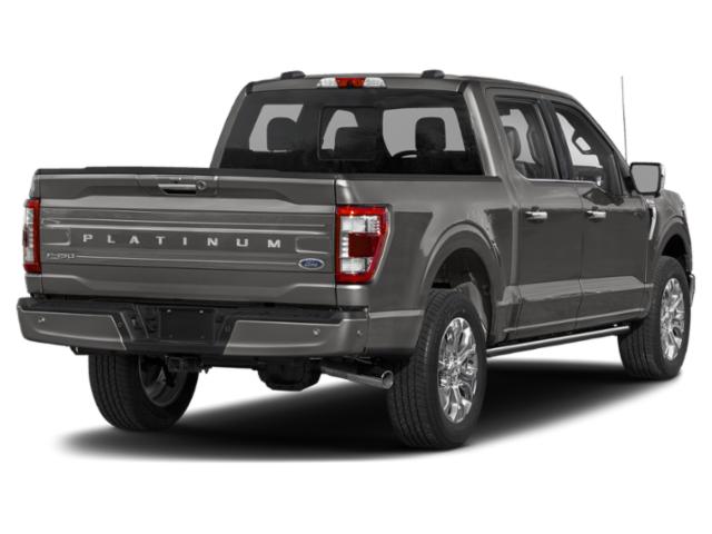 2023 Ford F-150 Platinum 2023 Ford F-150 Platinum