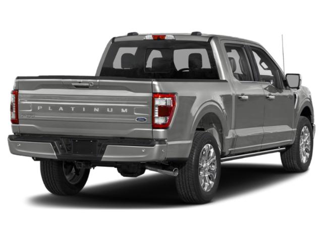 2023 Ford F-150 Platinum 2023 Ford F-150 Platinum