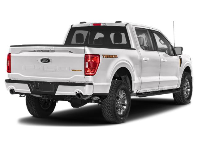 2023 Ford F-150 Tremor 2023 Ford F-150 Tremor