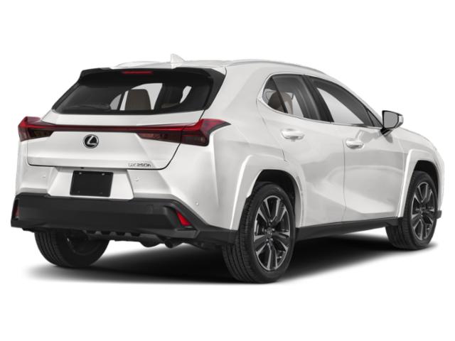 2023 Lexus UX 250h Premium 2023 Lexus UX 250h Premium