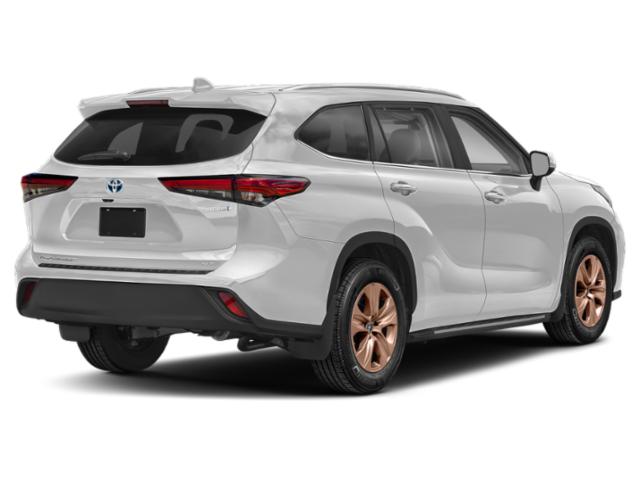 2023 Toyota Highlander Hybrid XLE Bronze