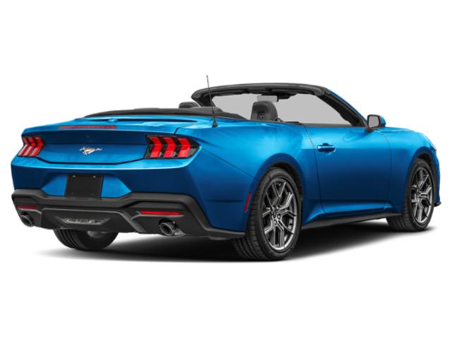 2024 Ford Mustang EcoBoost Convertible 2024 Ford Mustang EcoBoost Convertible