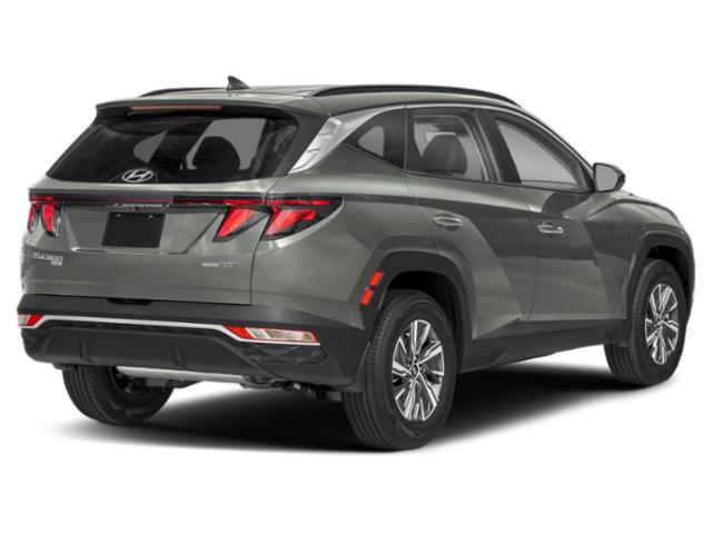 2024 Hyundai Tucson Hybrid Blue 2024 Hyundai Tucson Hybrid Blue