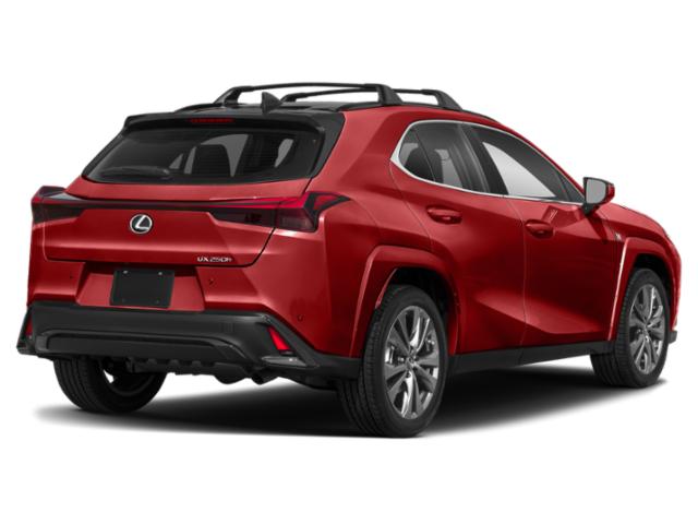 2024 Lexus UX 250h F SPORT Design