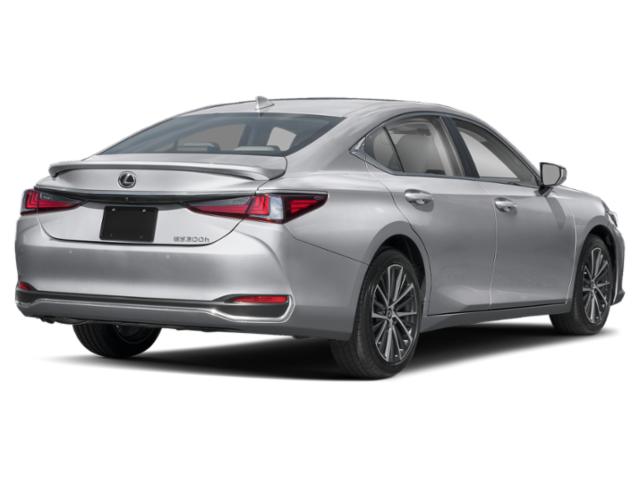 2025 Lexus ES 300h Unknown