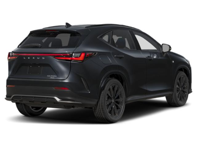 2025 Lexus NX Luxury