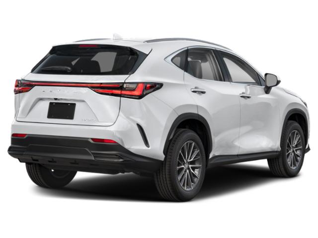 2025 Lexus NX NX 250