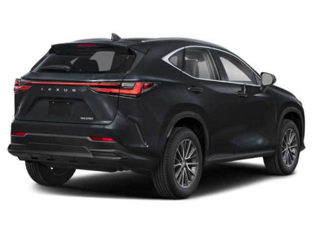 2025 Lexus NX Unknown