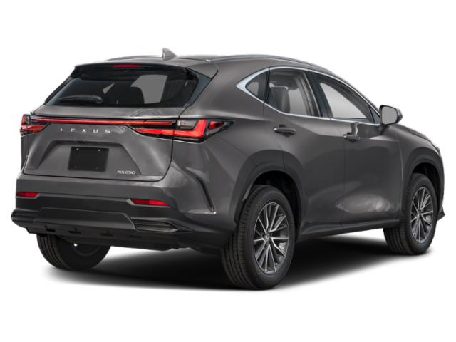 2025 Lexus NX Unknown