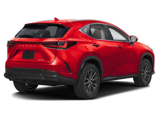 2025 Lexus NX Premium