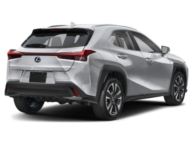 2025 Lexus 300 UX 300h