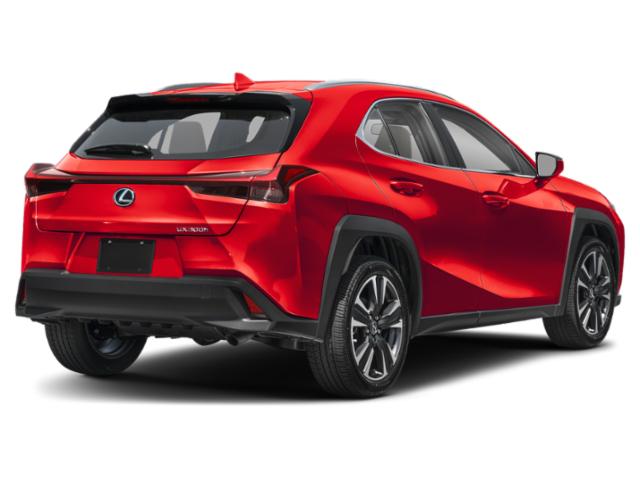 2025 Lexus 300 UX 300h