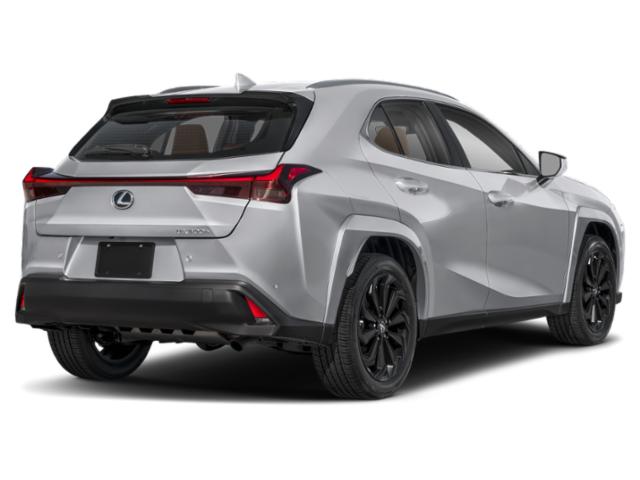 2025 Lexus 300 Premium