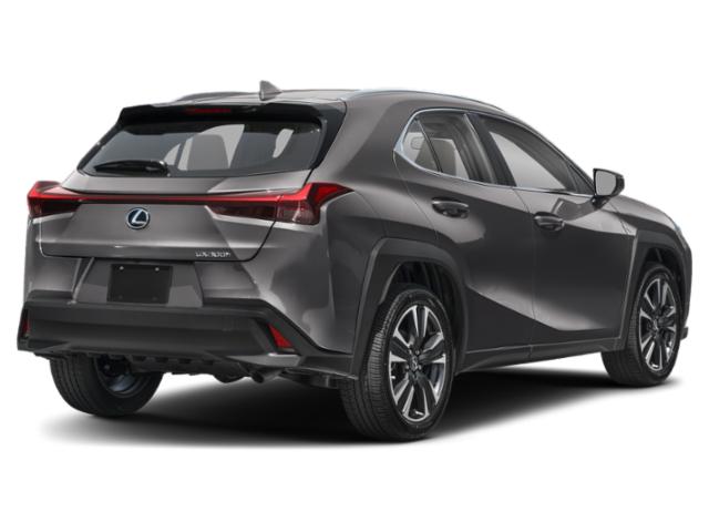 2026 Lexus 300 300h