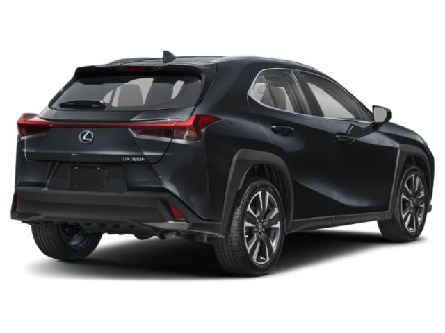 2026 Lexus 300 FWD
