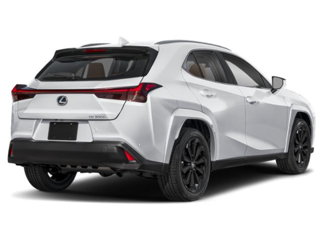 2026 Lexus 300 Premium AWD