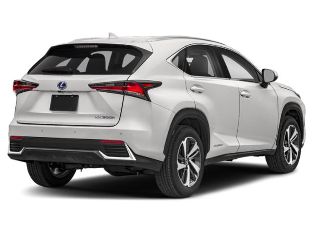 2019 Lexus NX 300h 