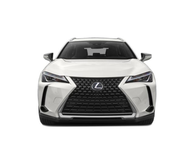 2019 Lexus UX 250h UX 250h