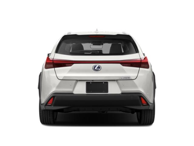 2019 Lexus UX 250h UX 250h