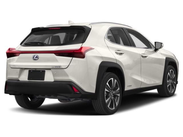 Used 2021 Lexus UX 250h Luxury For Sale in Bellingham, WA