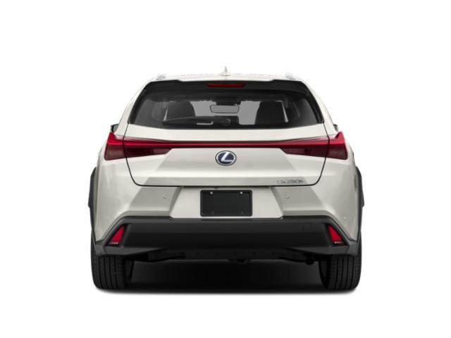2021 Lexus UX 250h UX 250h