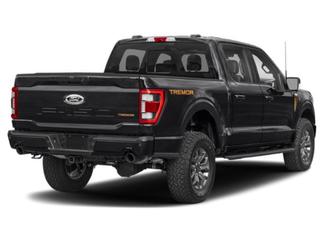2022 Ford F-150 Tremor 2022 Ford F-150 Tremor